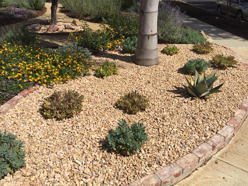 Drought tolerant landscaping designed and built by our highly skilled team