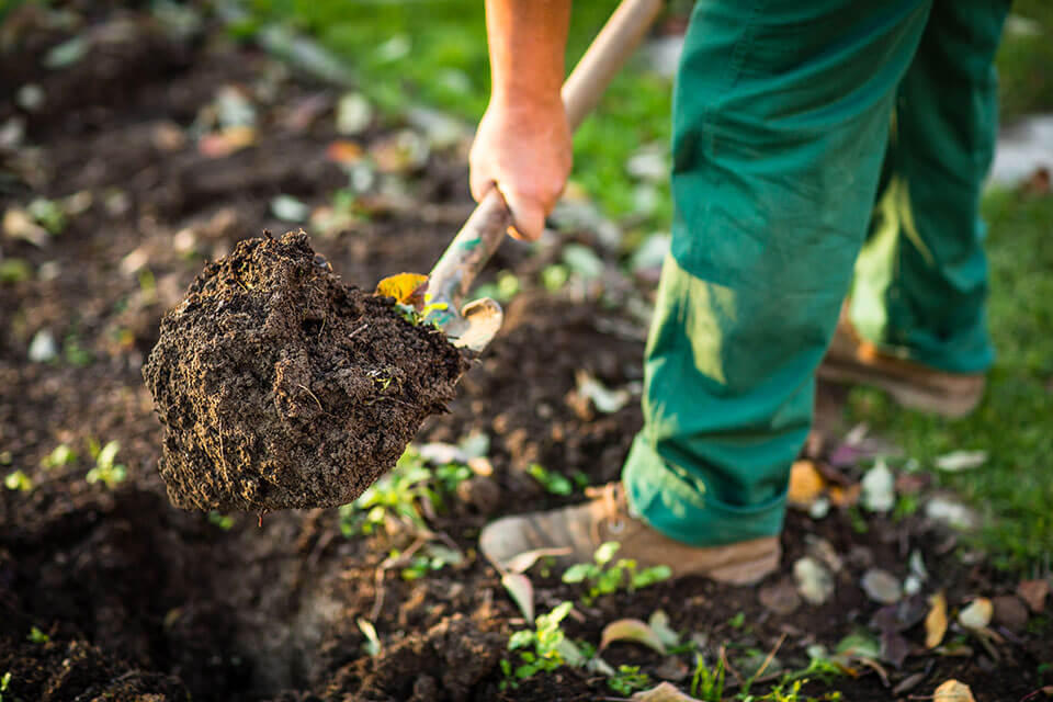 Los Angeles landscaping contractor shovels soil