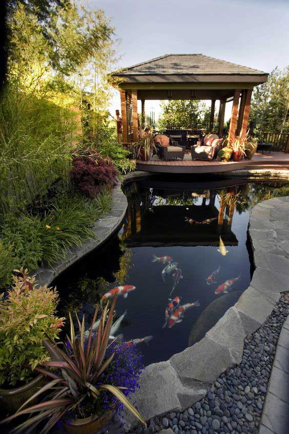 20 Unique Koi Ponds You Have to See to Believe - Chuck's Landscaping