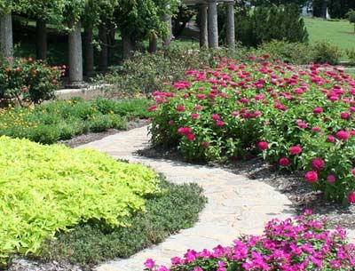 Walkway and garden installed by landscaper in Glendale, California