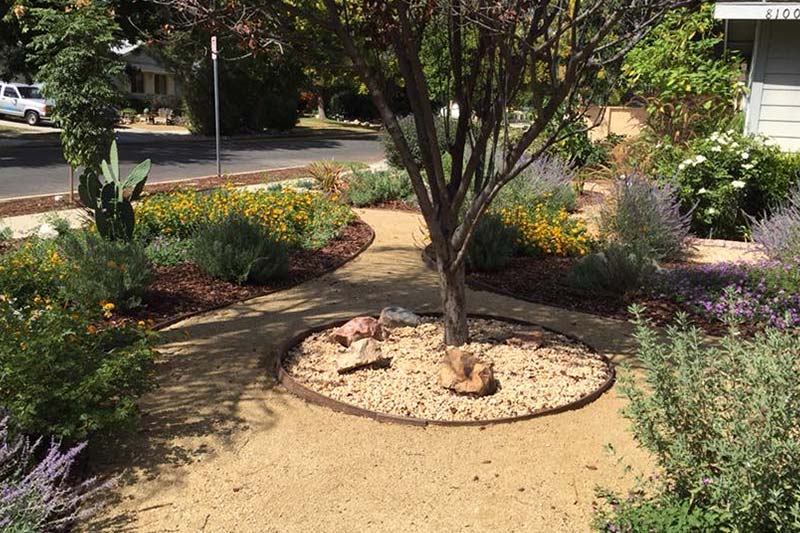 drought tolerant landscape design with rock garden and tree