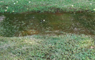 how to drain a waterlogged lawn