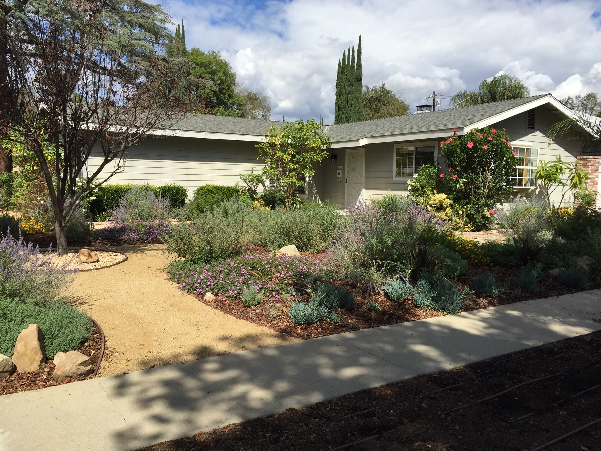 Drought tolerant landscaping done by our pros