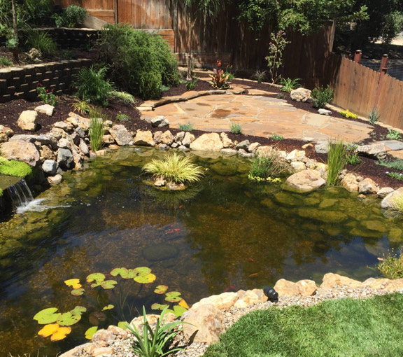 our team recently finished building this pond