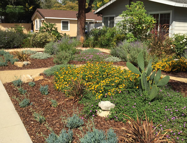 beautiful landscape created by one of our professional landscapers in Granada Hills