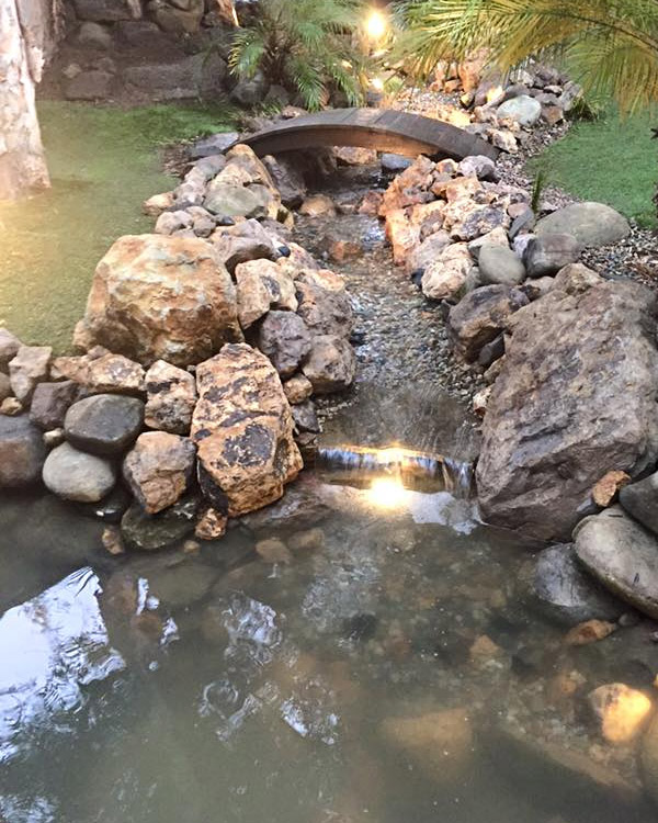 an unique pond construction done by our pro team