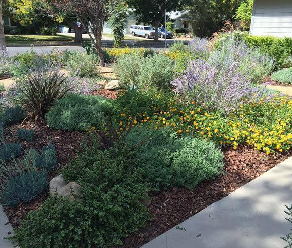 our team provided professional landscaping services in Van Nuys