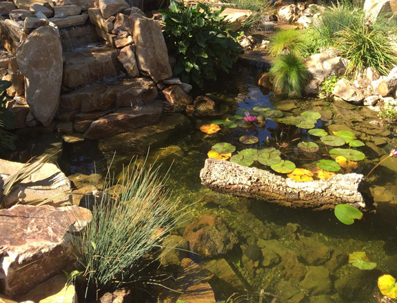 a high-quality pond construction done by our team