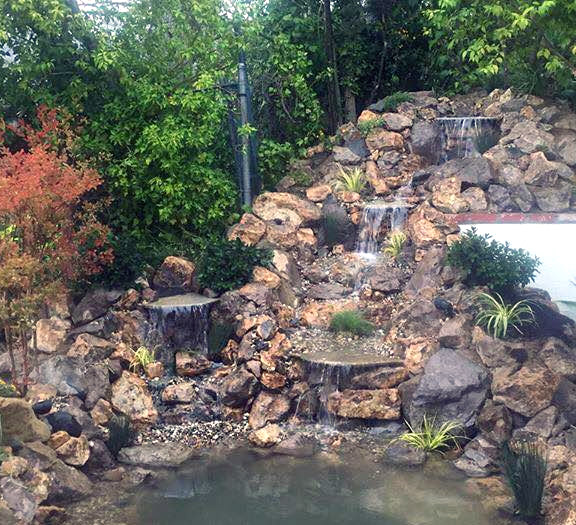 a pond construction done by our dedicated team
