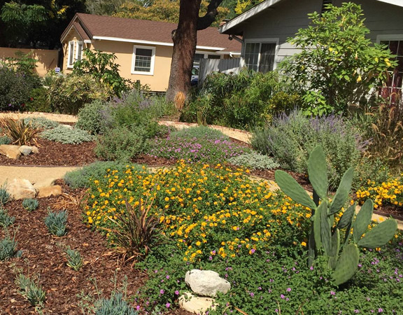 landscaping done in Porter Ranch by our pros
