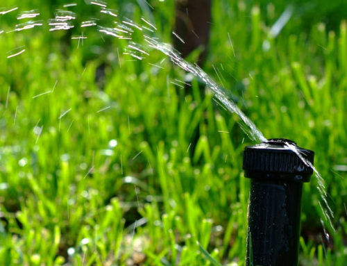 Do I Need a Sprinkler Repair or a Full System Replacement?