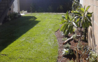 how to prepare your yard for sod installation