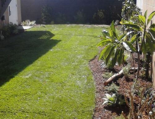 How to Prepare Your Yard For Sod Installation