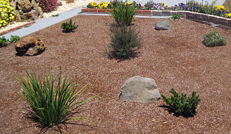 How to Quickly Redo Your Front Yard