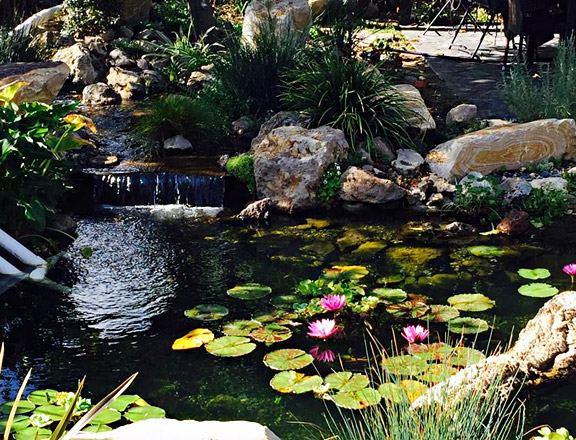pond with waterfall created by our dedicated pros