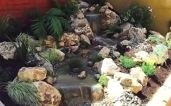 a pond in Simi Valley built by our team
