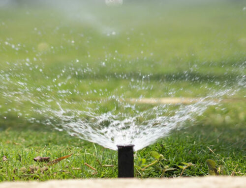 5 ways smart sprinklers simplify your life