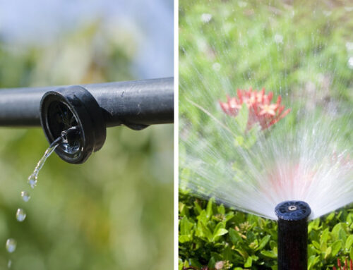 Drip Irrigation vs. Traditional Sprinklers: Choosing the Right Option for Your Yard